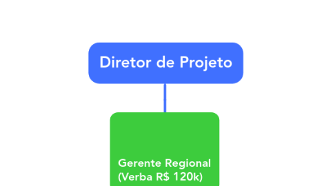 Mind Map: Diretor de Projeto