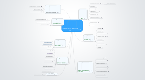 Mind Map: COMPAÑIA DE SEGUROS S.A