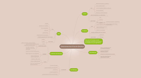 Mind Map: Dimensiones de la Función Directiva