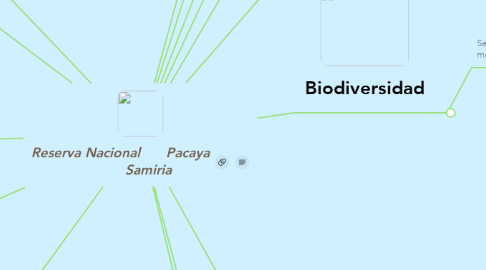 Mind Map: Reserva Nacional      Pacaya              Samiria