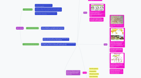 Mind Map: EBOLUZIOA