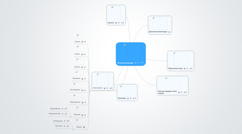 Mind Map: Млекопитающие