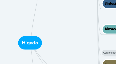 Mind Map: Hígado