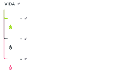 Mind Map: VIDA