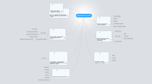 Mind Map: Здоровый образ жизни