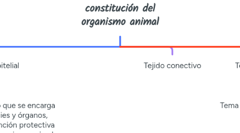 Mind Map: constitución del organismo animal