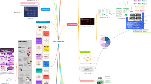 Mind Map: MANAGEMENT RAI