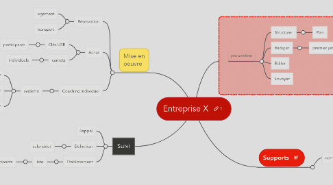 Mind Map: Entreprise X