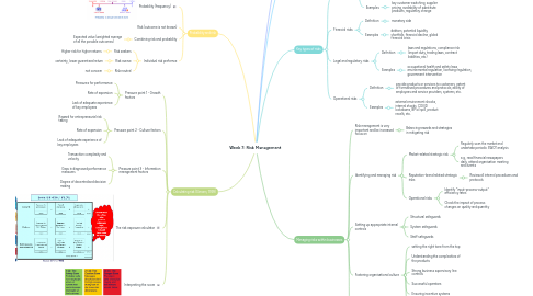 Mind Map: Week 7: Risk Management