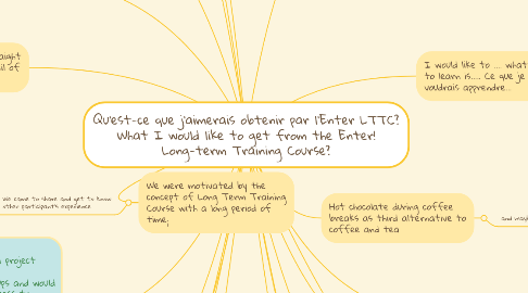 Mind Map: Qu’est-ce que j'aimerais obtenir par l’Enter LTTC? What I would like to get from the Enter! Long-term Training Course?