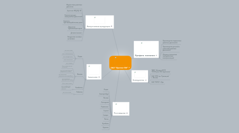 Mind Map: ОАО "Протон-ПМ"