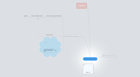 Mind Map: The Circulatory System