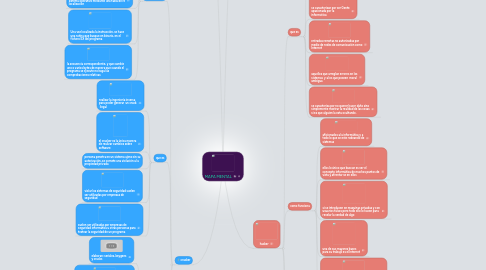 Mind Map: MAPA MENTAL