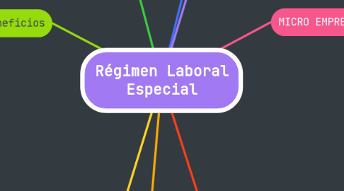 Mind Map: Régimen Laboral Especial