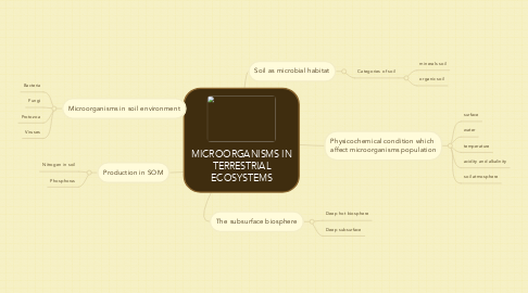 Mind Map: MICROORGANISMS IN TERRESTRIAL ECOSYSTEMS