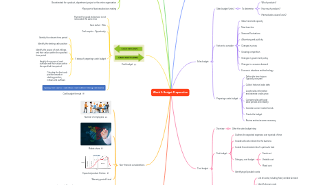 Mind Map: Week 3: Budget Preparation