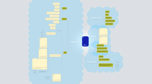 Mind Map: SOIL