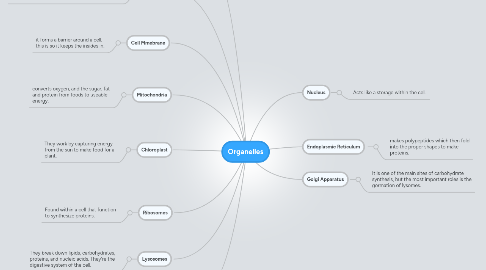 Mind Map: Organelles