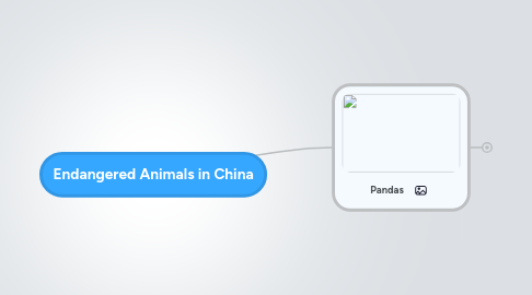 Mind Map: Endangered Animals in China