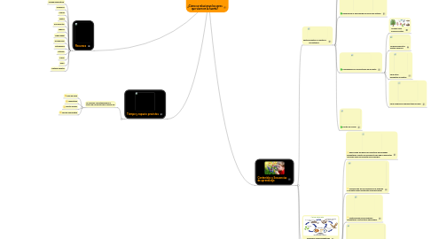 Mind Map: ¿Cómo se relacionan los seres que viven en la huerta?