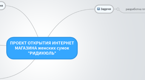 Mind Map: ПРОЕКТ ОТКРЫТИЯ ИНТЕРНЕТ МАГАЗИНА женских сумок "РИДИКЮЛЬ"