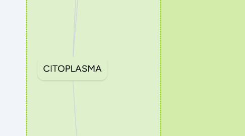 Mind Map: CITOPLASMA