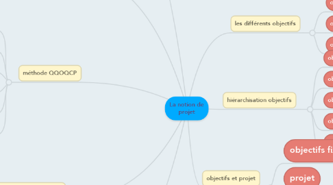 Mind Map: La notion de projet