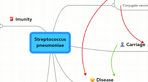 Mind Map: Streptococcus pneumoniae