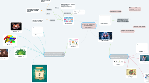 Mind Map: EL SER HUMANO Y SUS COMPONENTES ESENCIALES.