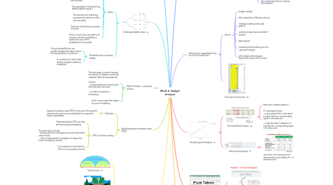 Mind Map: Week 4: Budget Analysis