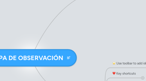 Mind Map: ETAPA DE OBSERVACIÓN