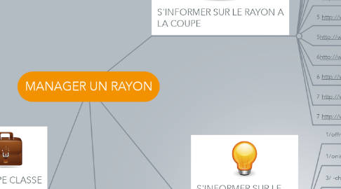 Mind Map: MANAGER UN RAYON