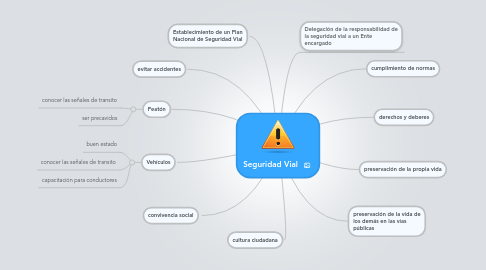 Mind Map: Seguridad Vial