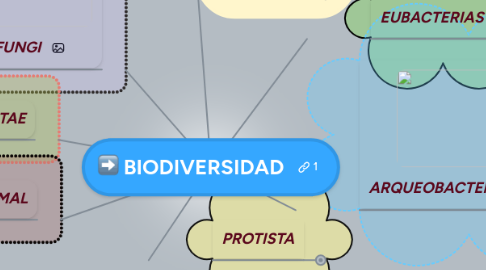 Mind Map: BIODIVERSIDAD