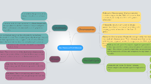 Mind Map: The Process of Cell Division