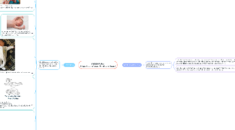Mind Map: การตรวจ Reflex ( Superficial reflexes , Primitive reflexes )