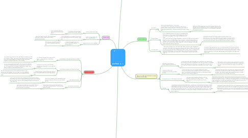 Mind Map: Jem Finch