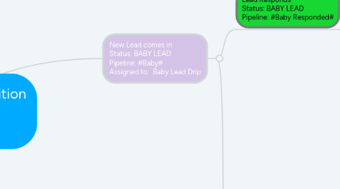 Mind Map: REI Automated Acquisition Process Lead Statuses