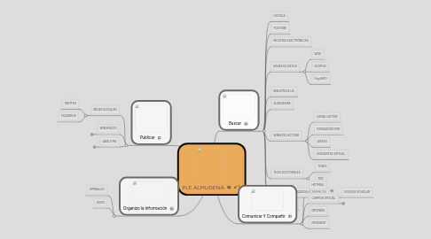 Mind Map: PLE ALMUDENA