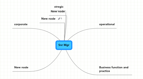 Mind Map: Snr Mgr