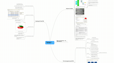 Mind Map: Risk Management White Paper