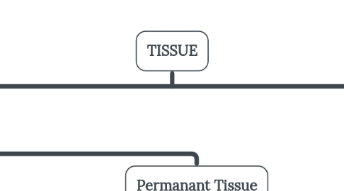 Mind Map: TISSUE