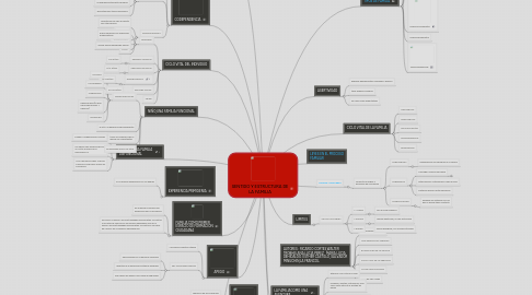 Mind Map: SENTIDO Y ESTRUCTURA DE LA FAMILIA