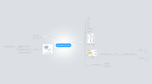 Mind Map: Visual Signal Processing