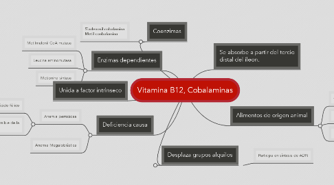 Mind Map: Vitamina B12, Cobalaminas