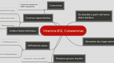 Mind Map: Vitamina B12, Cobalaminas