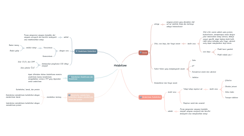 Mind Map: Metabolisme