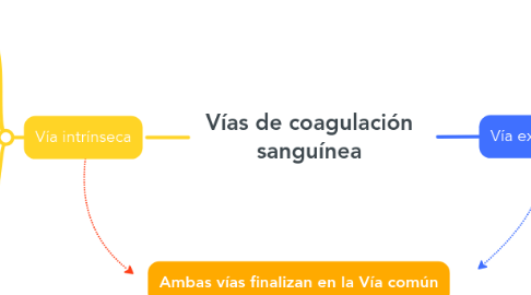 Mind Map: Vías de coagulación sanguínea