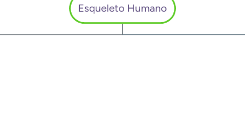 Mind Map: Esqueleto Humano
