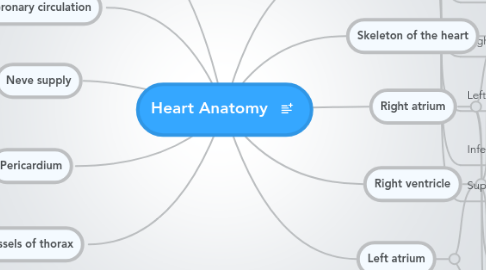 Mind Map: Heart Anatomy